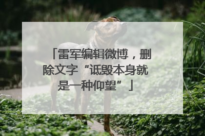 雷军编辑微博，删除文字“诋毁本身就是一种仰望”